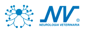 Neurología Veterinaria Getafe| Colaboración con clínicas en toda España | Más de 15 años de experiencia